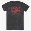 Best deal ⌛ Stranger Things Friends Don't Lie Mineral Wash T-Shirt 🔔
