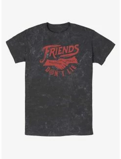 Best deal ⌛ Stranger Things Friends Don't Lie Mineral Wash T-Shirt 🔔